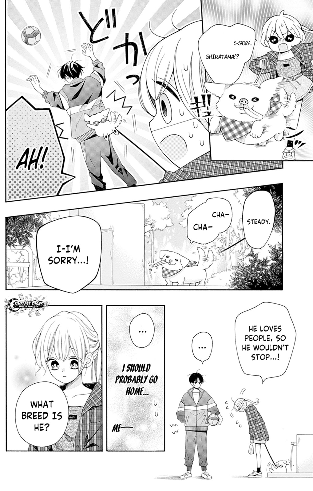 Spring up, spring breeze