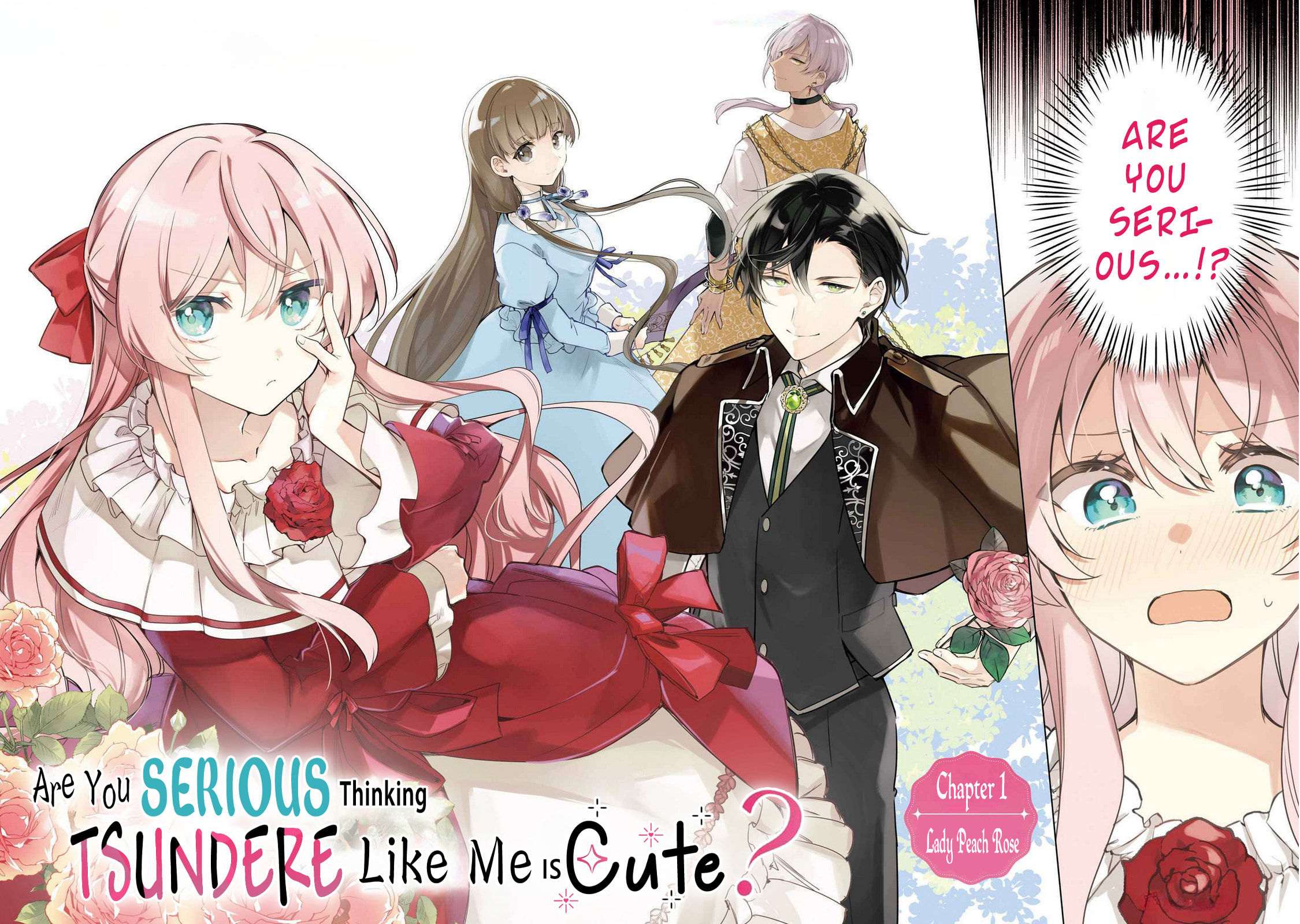 Are You Serious Thinking a Tsundere Like Me is Cute?