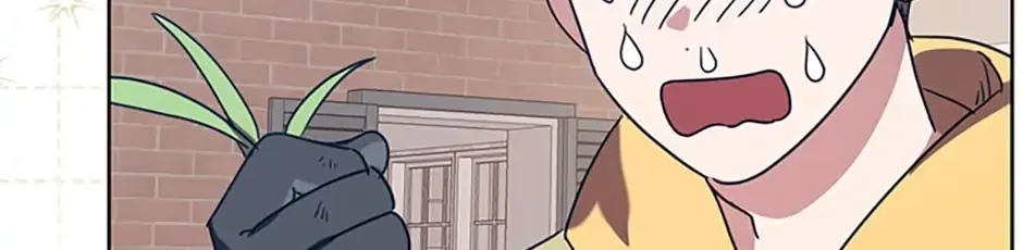 Catherine's Key to a Happy Life