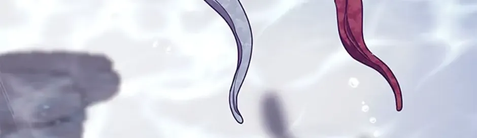 Catherine's Key to a Happy Life