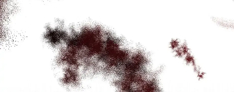 Catherine's Key to a Happy Life