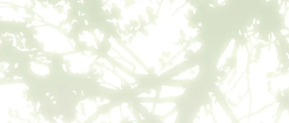 Catherine's Key to a Happy Life