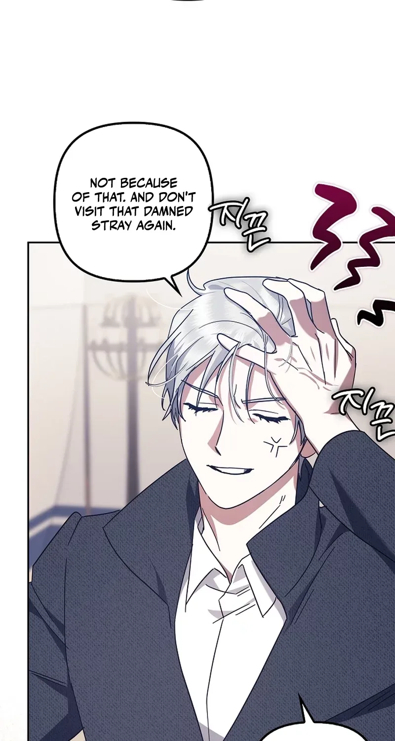 Catherine's Key to a Happy Life