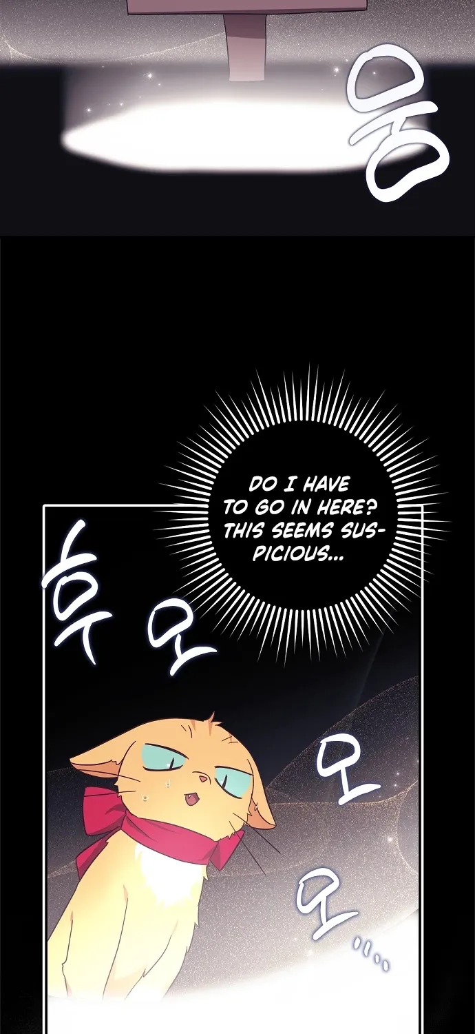 Catherine's Key to a Happy Life