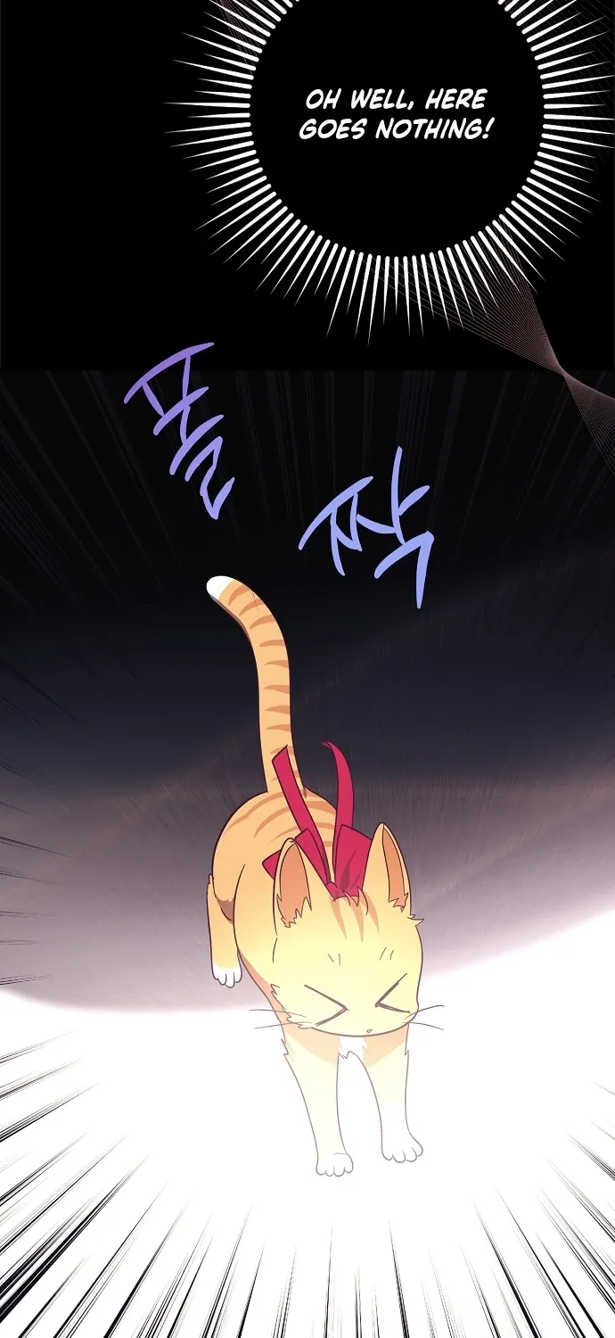 Catherine's Key to a Happy Life