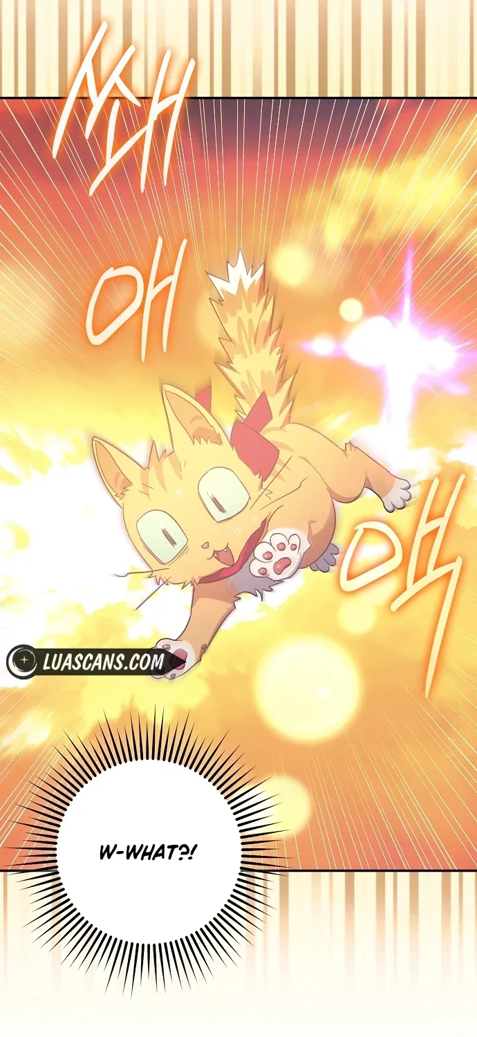 Catherine's Key to a Happy Life