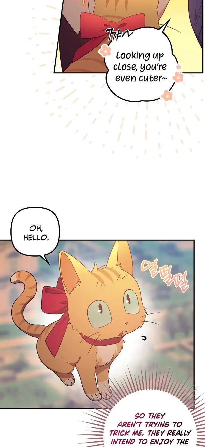 Catherine's Key to a Happy Life