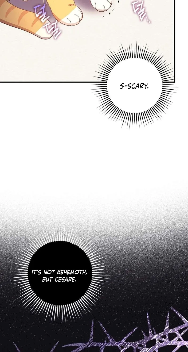 Catherine's Key to a Happy Life