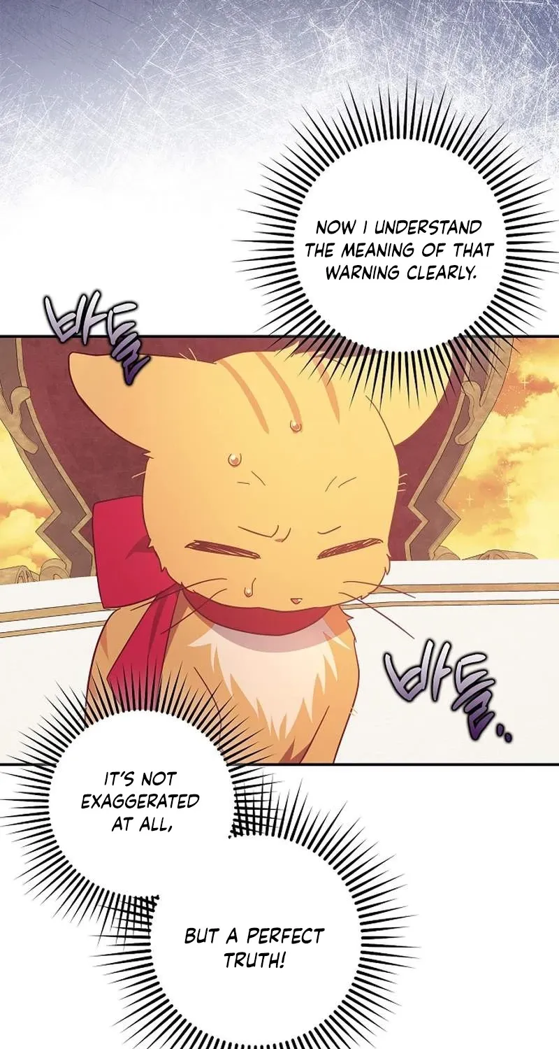 Catherine's Key to a Happy Life