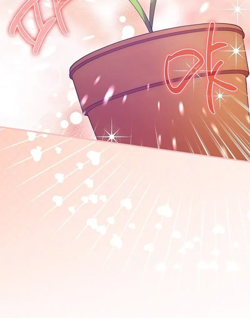 Catherine's Key to a Happy Life