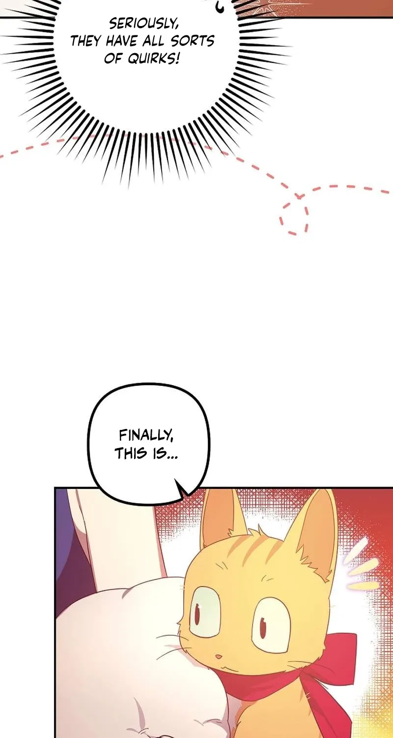 Catherine's Key to a Happy Life