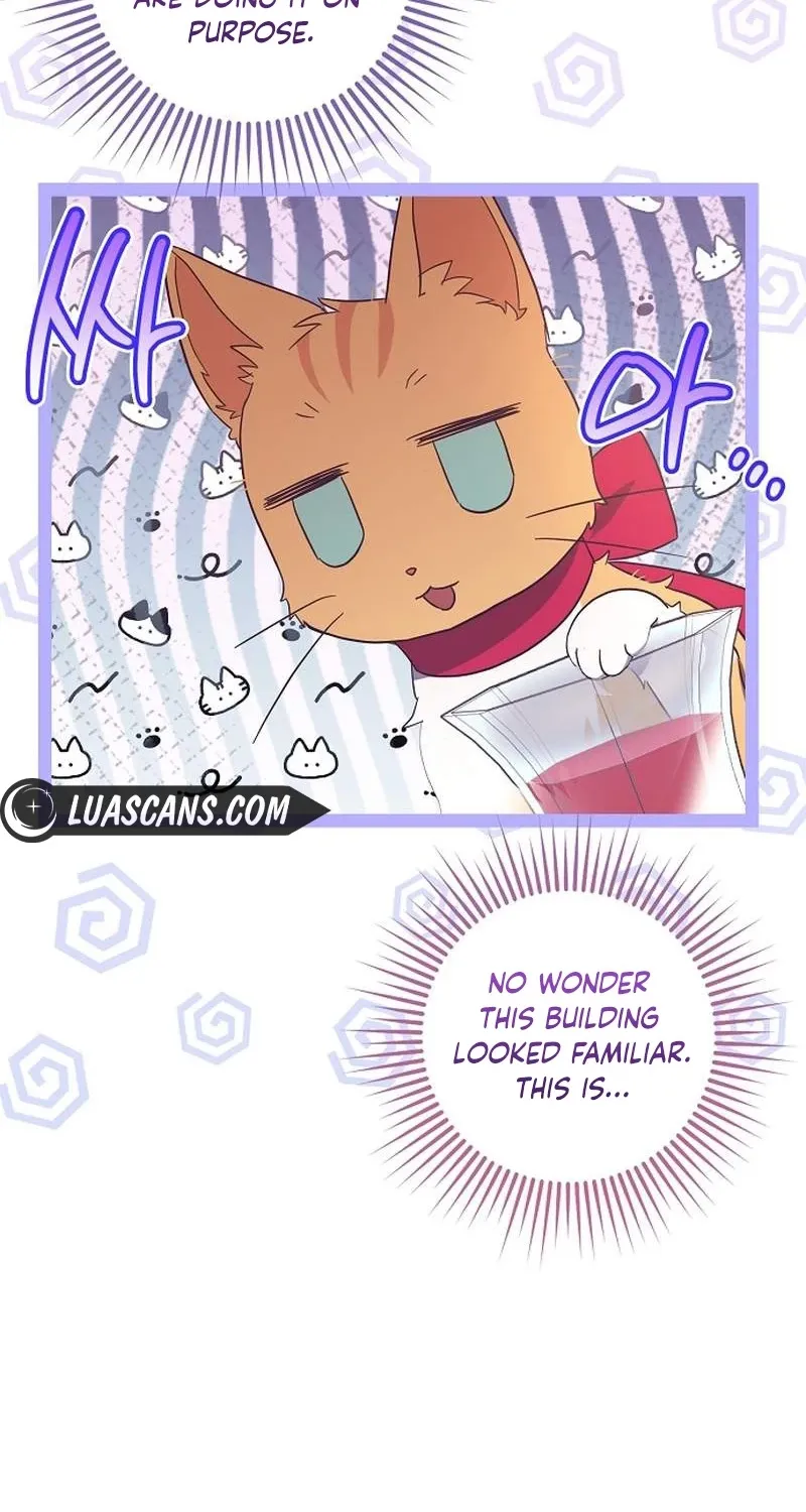 Catherine's Key to a Happy Life