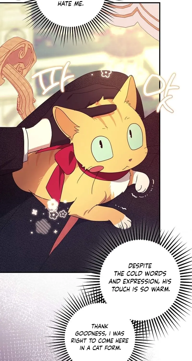 Catherine's Key to a Happy Life