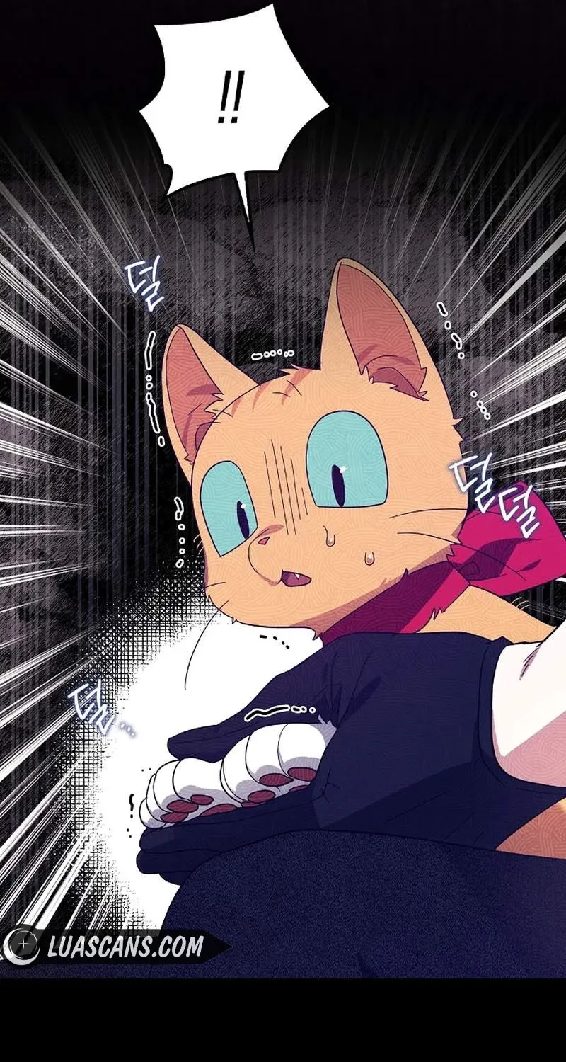 Catherine's Key to a Happy Life