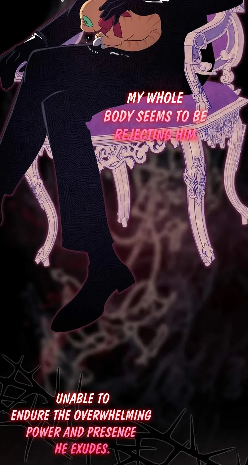 Catherine's Key to a Happy Life