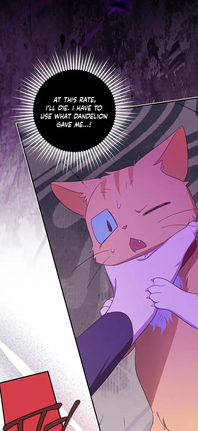 Catherine's Key to a Happy Life