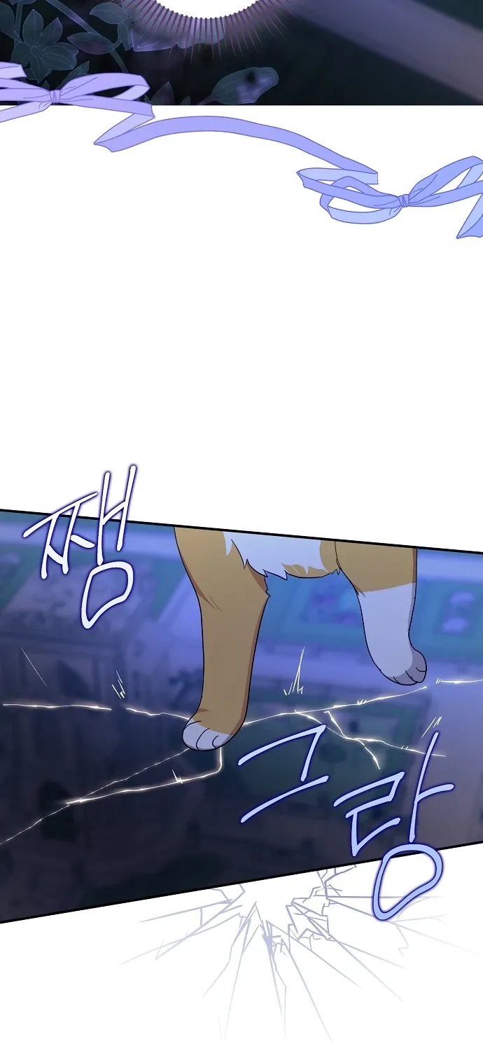 Catherine's Key to a Happy Life