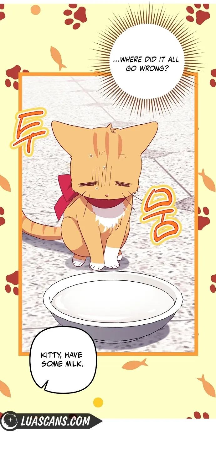 Catherine's Key to a Happy Life