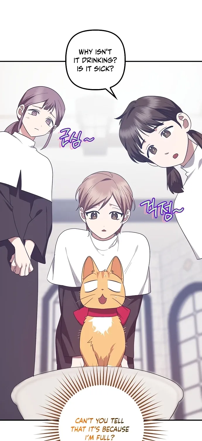 Catherine's Key to a Happy Life