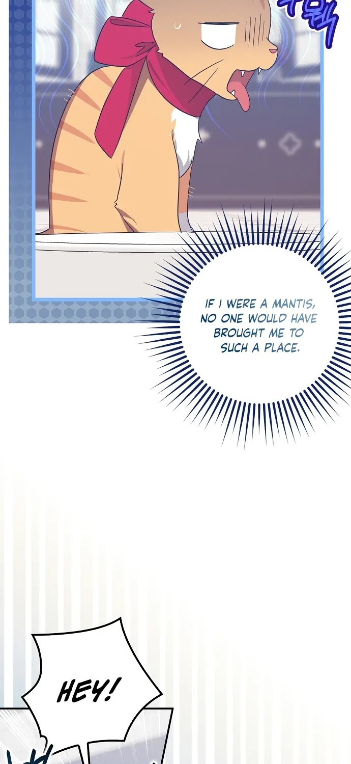 Catherine's Key to a Happy Life