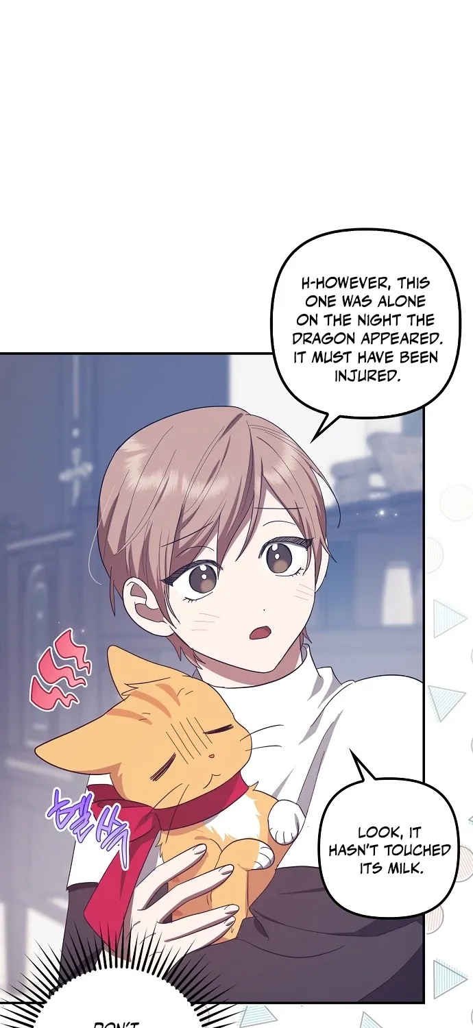 Catherine's Key to a Happy Life