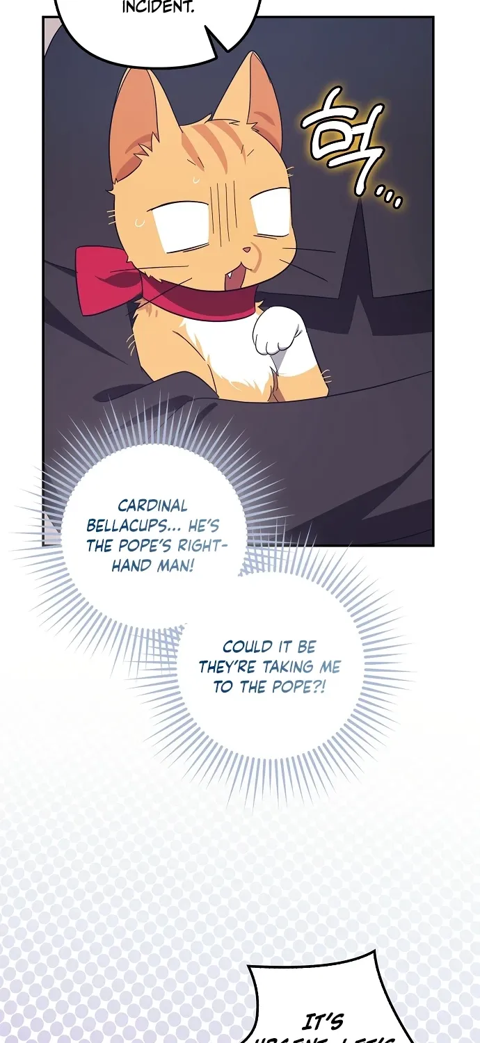 Catherine's Key to a Happy Life