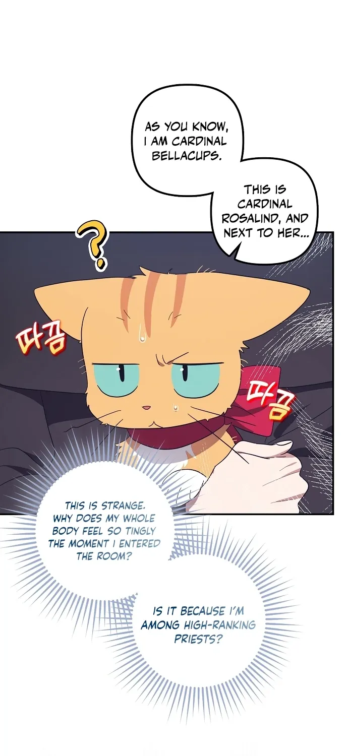 Catherine's Key to a Happy Life