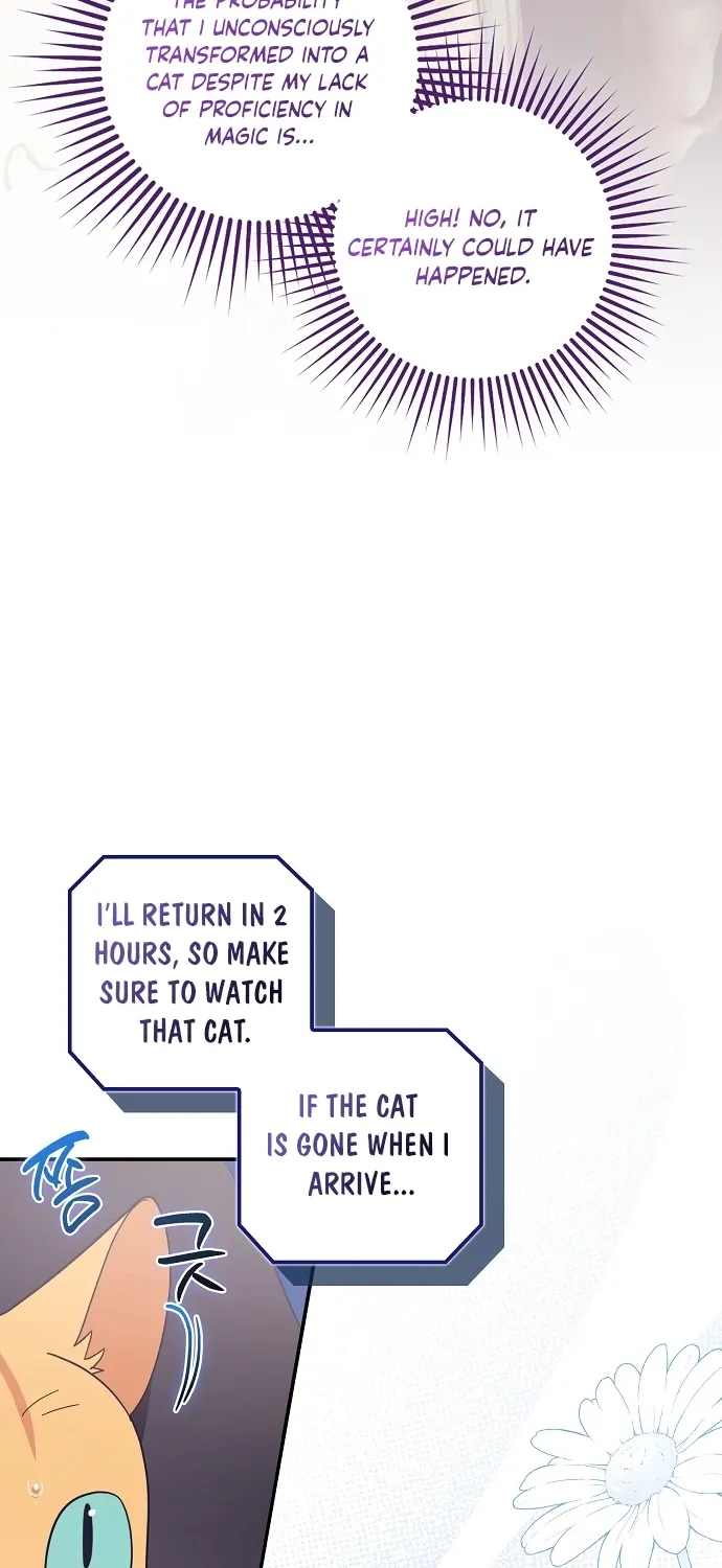 Catherine's Key to a Happy Life