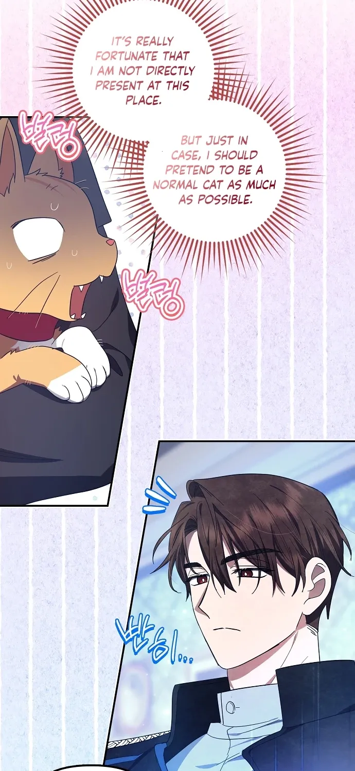 Catherine's Key to a Happy Life