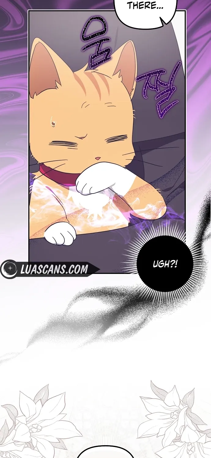 Catherine's Key to a Happy Life