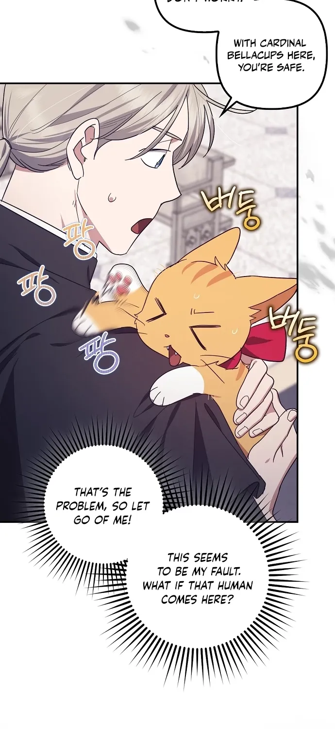 Catherine's Key to a Happy Life