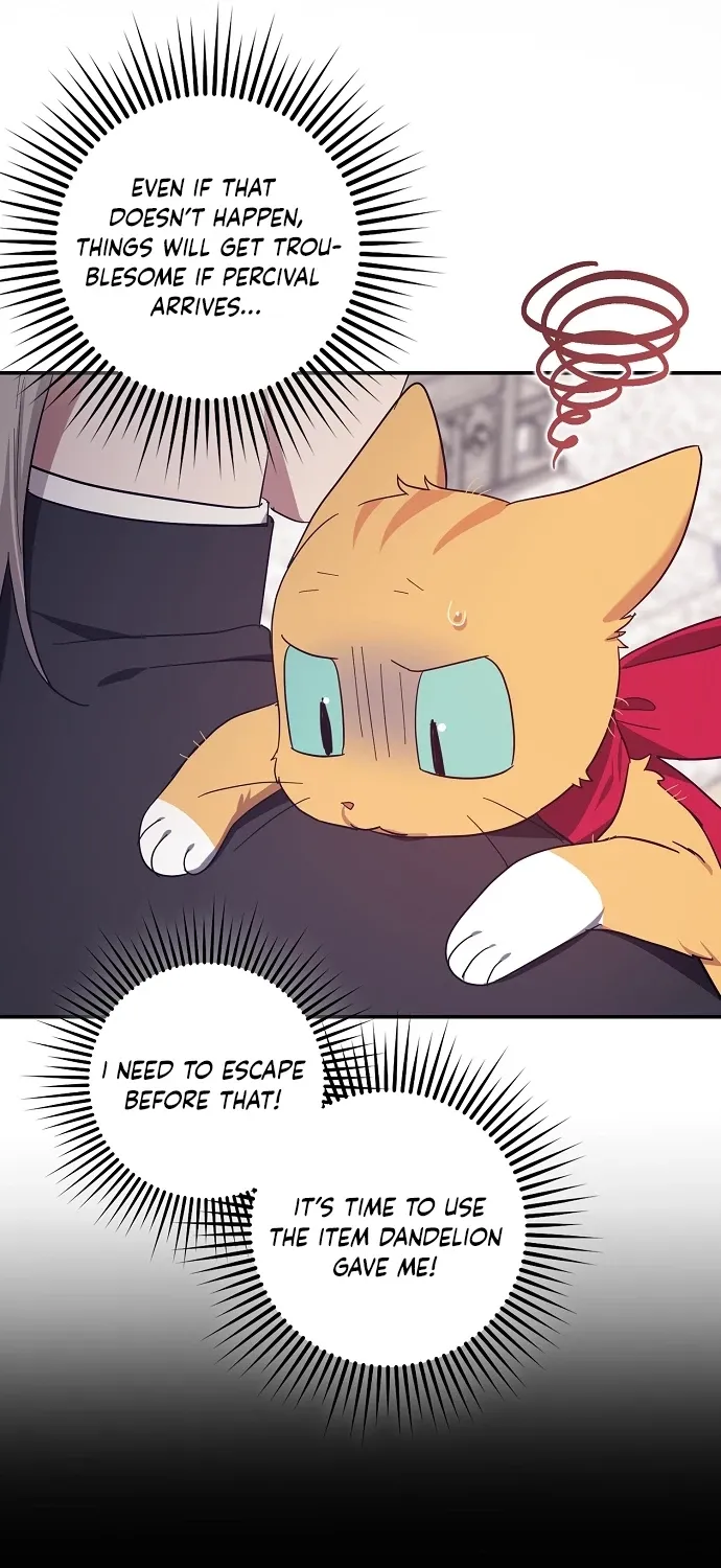 Catherine's Key to a Happy Life