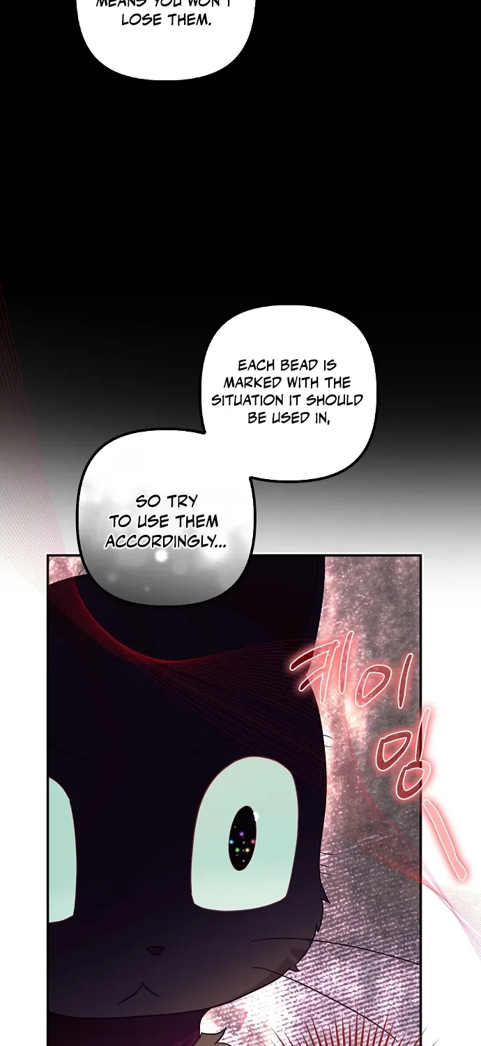 Catherine's Key to a Happy Life