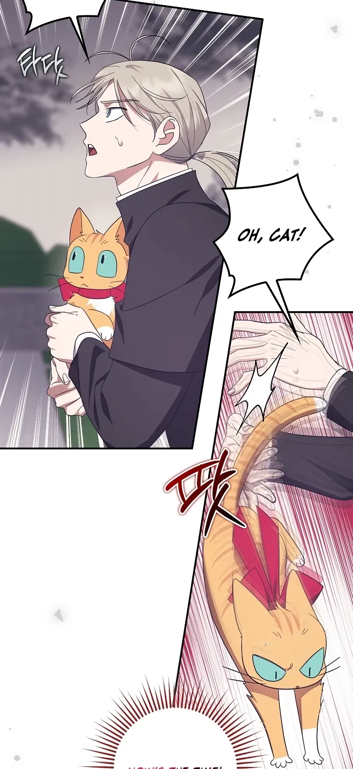 Catherine's Key to a Happy Life