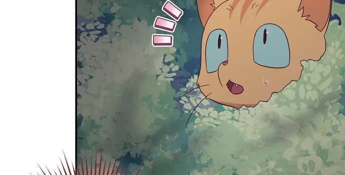 Catherine's Key to a Happy Life