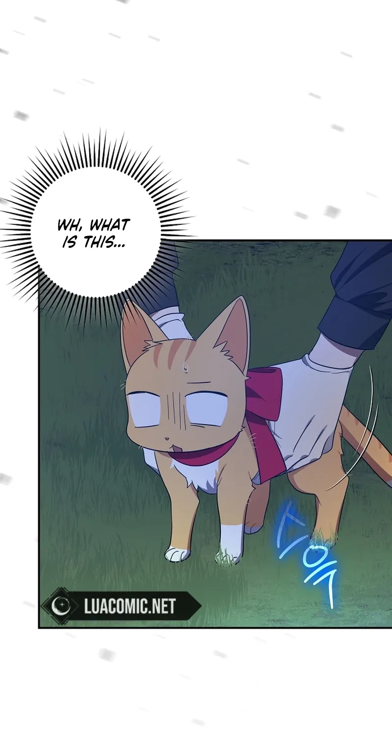 Catherine's Key to a Happy Life