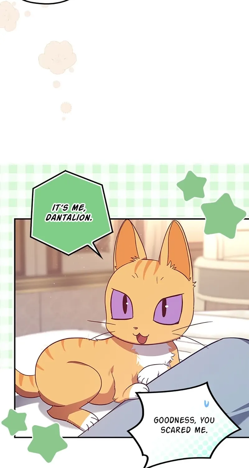 Catherine's Key to a Happy Life