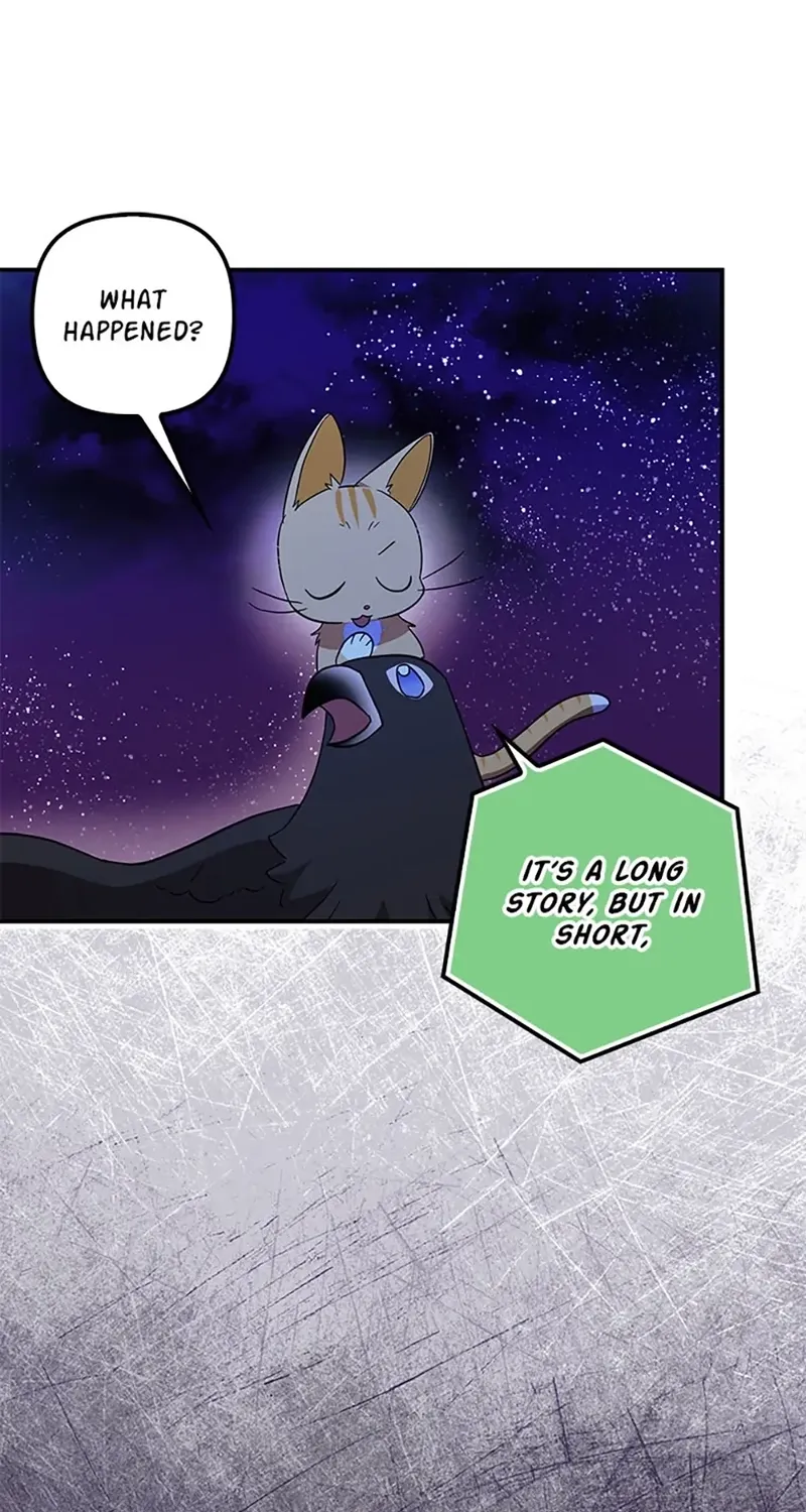 Catherine's Key to a Happy Life