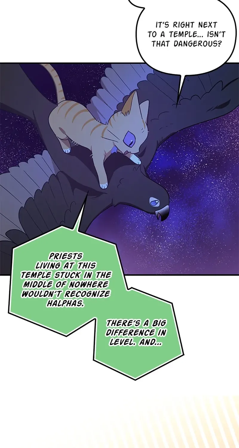 Catherine's Key to a Happy Life