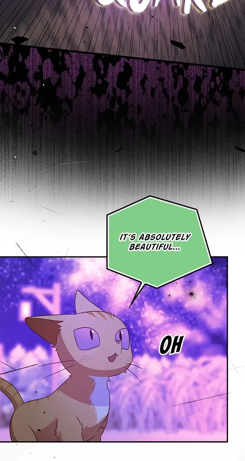 Catherine's Key to a Happy Life