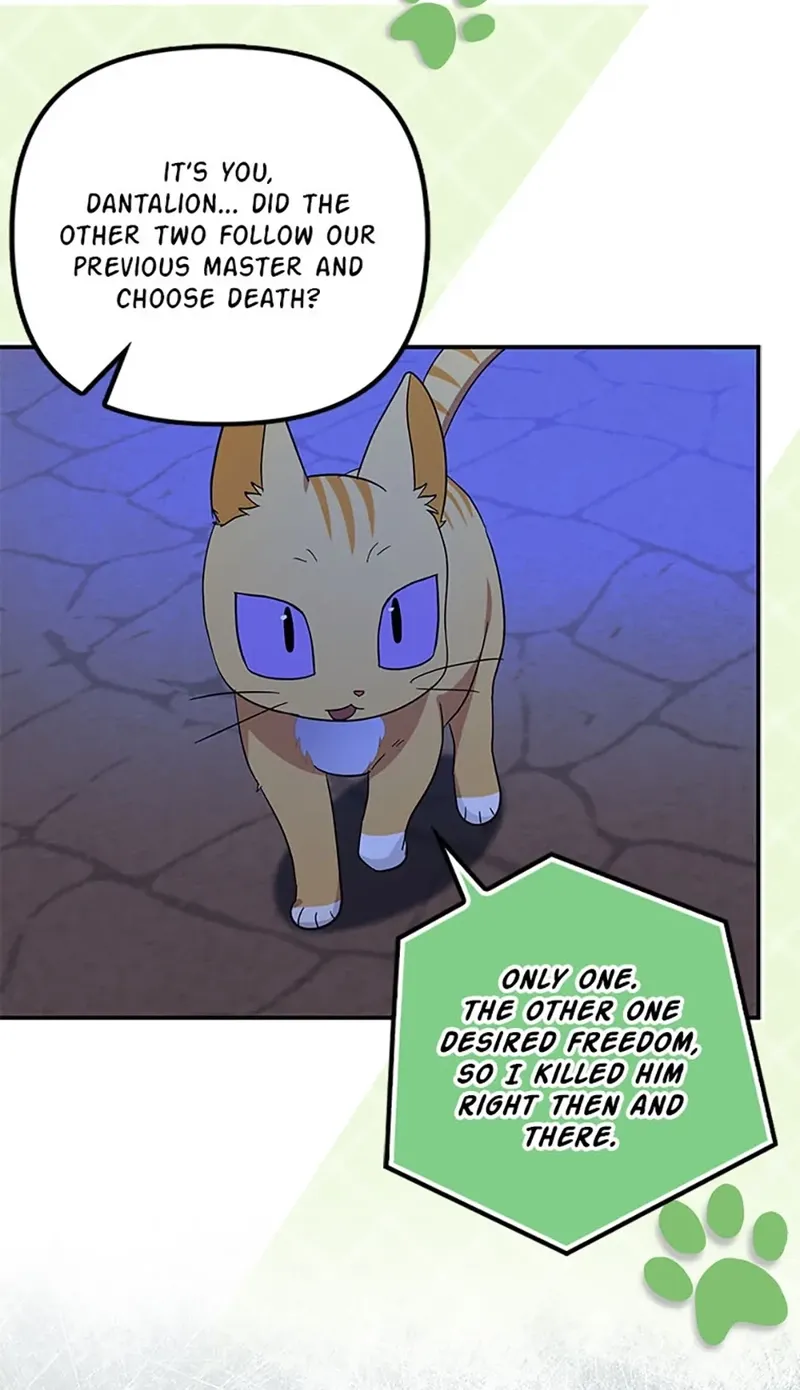 Catherine's Key to a Happy Life