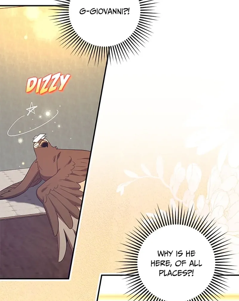 Catherine's Key to a Happy Life