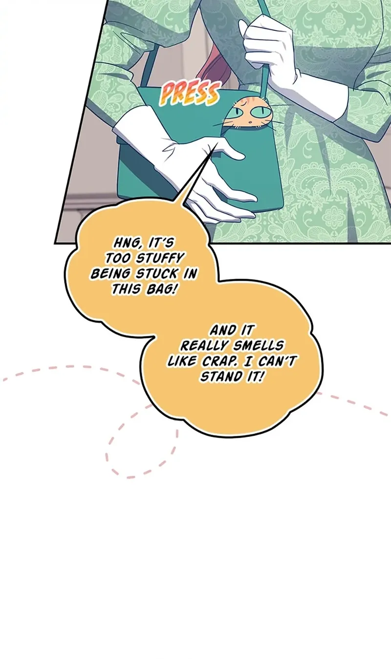 Catherine's Key to a Happy Life