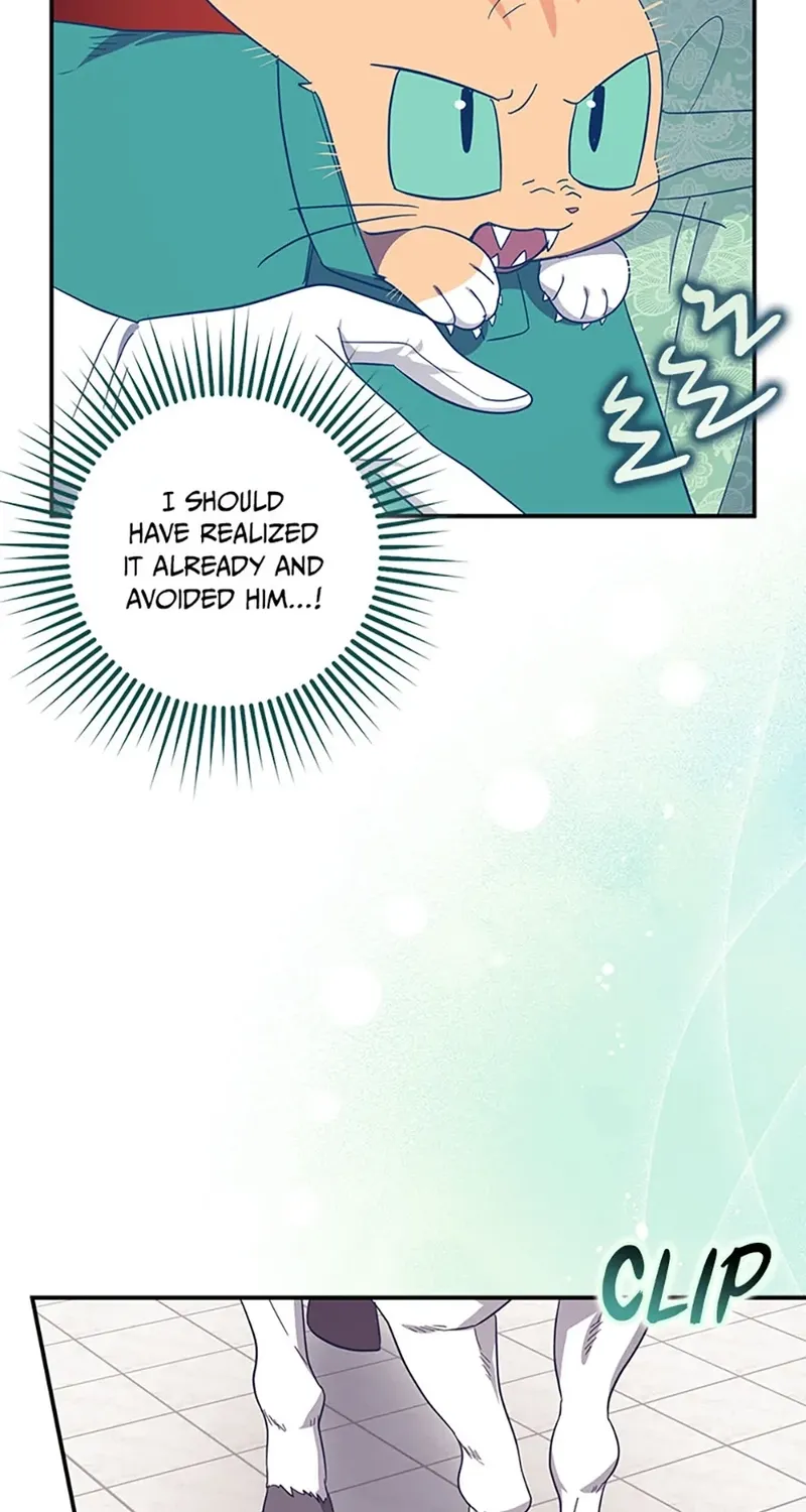 Catherine's Key to a Happy Life