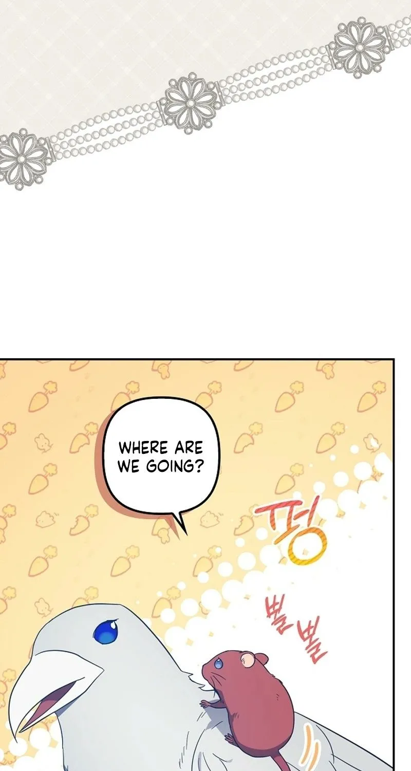 Catherine's Key to a Happy Life