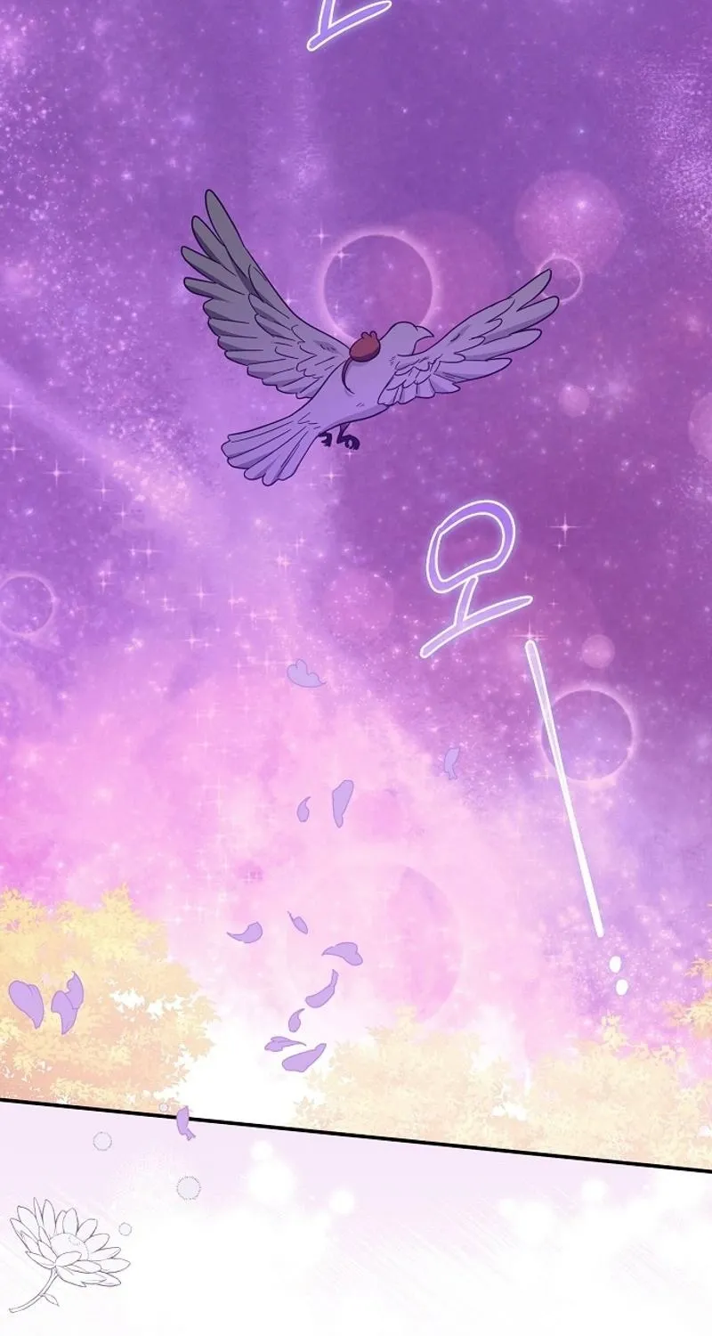 Catherine's Key to a Happy Life