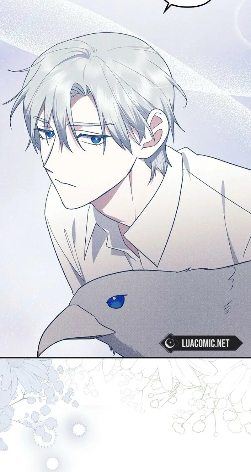 Catherine's Key to a Happy Life