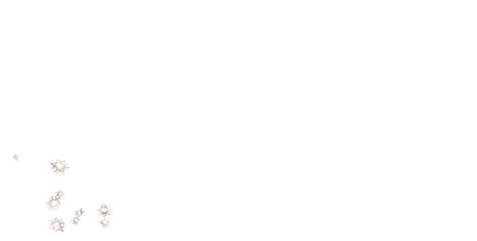 Catherine's Key to a Happy Life