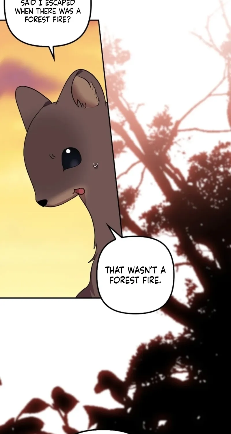 Catherine's Key to a Happy Life