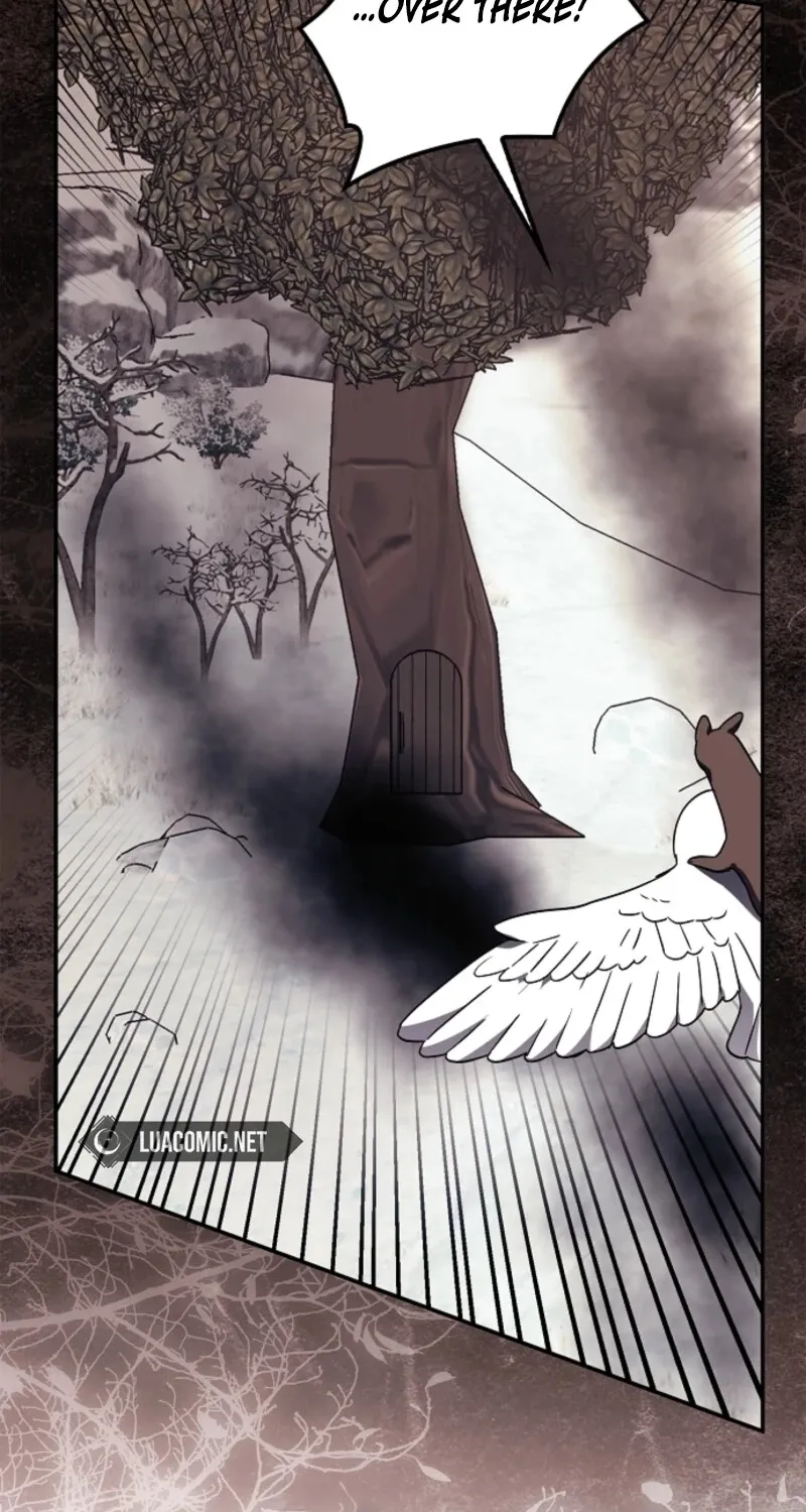 Catherine's Key to a Happy Life